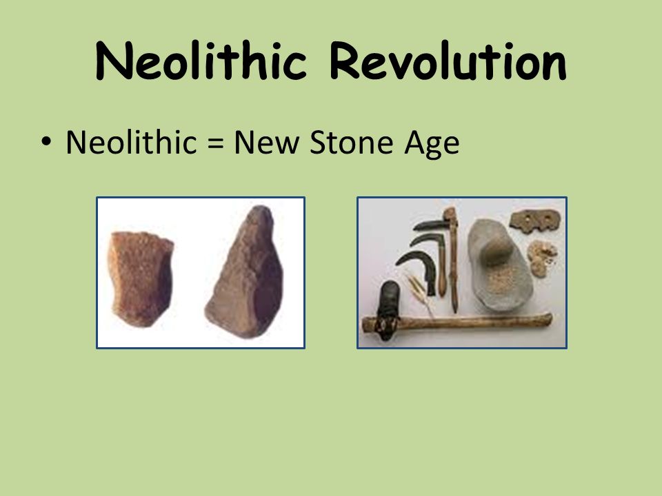 Paleolithic to neolithic change over time essay
